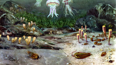 Prehistoric sea anemones jellyfish