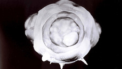 Preparing You re Now