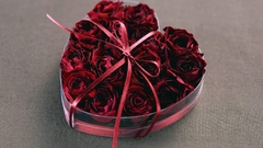 Present roses flower