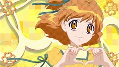 Pretty cure fresh precure