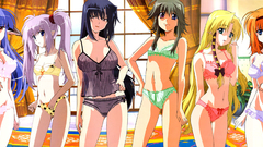 Primula (Shuffle!) Mayumi Thyme