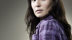 Prison break the walking dead TV series portraits sarah wayne 