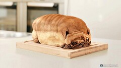 pug dog humor Animals Mammals