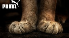 Puma feline logos paws