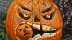 Pumpkin high Resolution