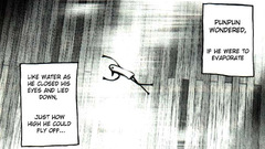 Punpun wondered Manga Anime