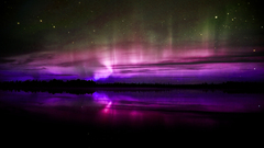 Purple close very pick