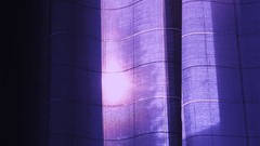 Purple curtains sunlight fabric