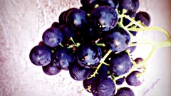 Purple grapes Turkey Ankara