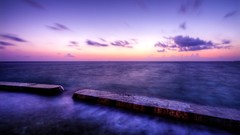 Purple seascape