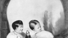 Puzzle are there any