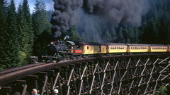 Pwithout trains India has