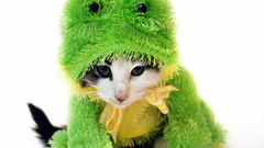 Quality images high some need hey shutterstock