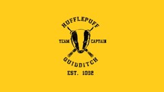 Quidditch Snitch Quaffle Bludger
