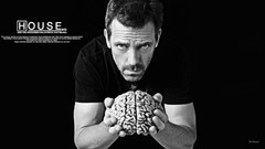 Quotes brain grayscale Hugh