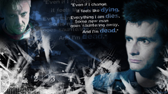 Quotes david tennant The