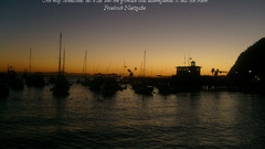 Quotes friedrich nietzsche quote