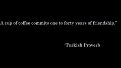 Quotes saying turkish proverb