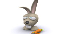 Rabbit carrots high Resolution