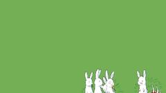 Rabbits show Basic You high Got what