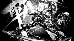 Raiden metal gear rising revengeance