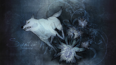 Rain Anime Manga animepaper wolfs galateia