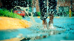 Rain feet wet poodle jumping