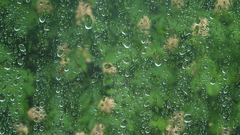 Rain on glass