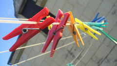 Rainbow by bulleblue nature