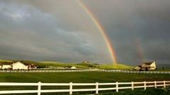 Rainbows double rainbow farms