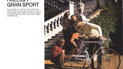 Raleigh catalog page high