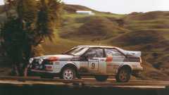 Rally New Zealand racing