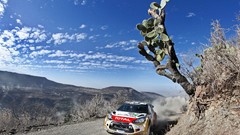 Rally race cars deserts