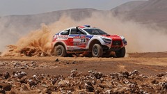 Rally rally dakar racing deserts Peter Lusk