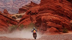 Rally rally dakar racing deserts Peter Lusk