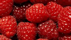 Raspberries fruits