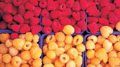 Raspberry red yellow Food
