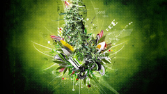 Rasta marihuana hakeryk