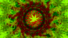 Rate plz krautrausch