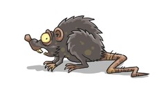 Rats video games Worms Revolution