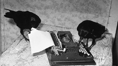 Ravens grayscale typewriters old photography Life magazine 