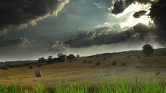 Rays grass sun clouds field landscape Green