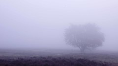 Really simple mist Epicurus