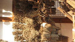 Recreation of Traditional herbalist