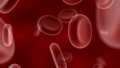 Red anatomy blood cells