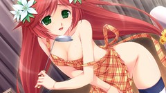 Red anime girls green eyes game cg cleavage aprons striped 