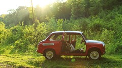Red cars forests ZAZ ukrainian old cars
