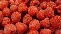 Red color Berries raspberries