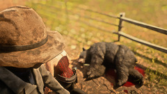 Red Dead Redemption 2 black bear red corset online games