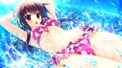 Red eyes blush anime girls brunettes game cg swimsuits Prism 
